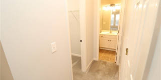 3013 Silky Dogwood Trail Gallery 25