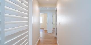 6406 Shane Place Gallery 13
