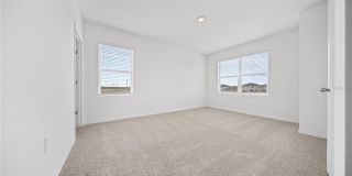 4302 BUTTERSCOTCH Circle Gallery 13