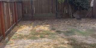 2838 Pixie Dr Gallery 8