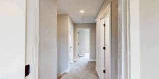 Wildwood Gallery 35