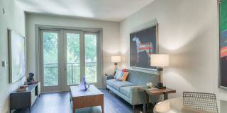 Windsor South Lamar Gallery 16