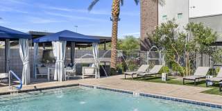 The Aster at Mountain Vista - BRAND NEW Gallery 19