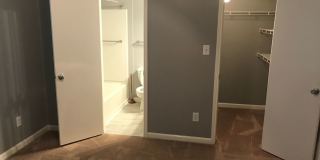 1511 Graduate Lane Gallery 12
