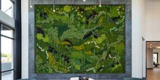 Broadstone North Lamar Gallery 26