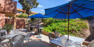 Volterra at La Mesa Gallery 41