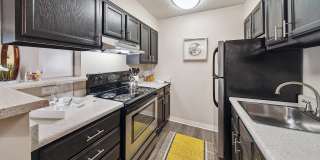 ReNew Pinehurst Gallery 1