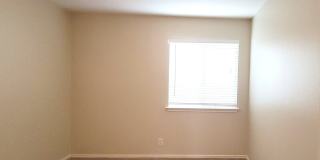 10414 LION HUNT Gallery 11
