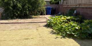 Charming 1 BR 1BA studio for rent. Gallery 11