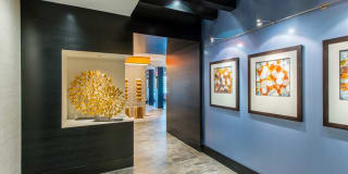 Mira Upper Rock Gallery 74