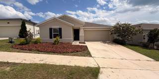Single Family House Minutes to Davenport Posner Park Shopping Mall Gallery 1