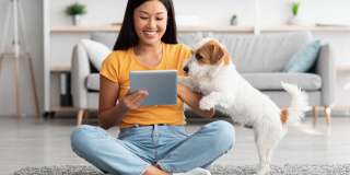 Shamrock Gardens Gallery 2