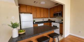 7708 Aquatic Drive Gallery 2
