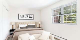 Wexford Village Gallery 10