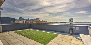 Windsor Queen Anne Gallery 33