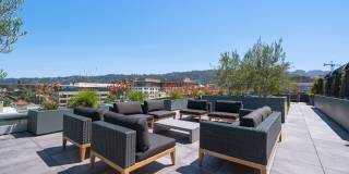 The Addison Berkeley Gallery 13