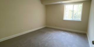 Northgate Gallery 222