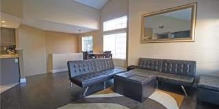 25182 Via Catalina Gallery 10