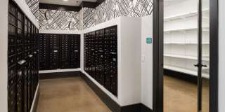 Soundwater Gallery 17