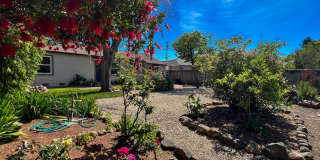 Charming Westwood Cottage in the Heart of Napa Gallery 22