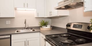 The Groves Gallery 16