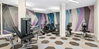 Everleigh Lakeline 60+ Active Adult Apartment Homes Gallery 5