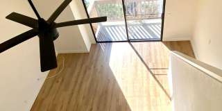 501 Orange Blossom Gallery 1