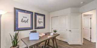 Shadow Bay Gallery 4