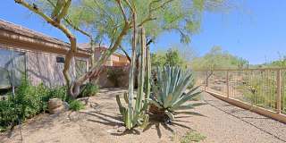 7155 E NIGHT GLOW Circle Gallery 55