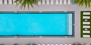 10X Las Olas Walk 10X Las Olas Walk Gallery 8