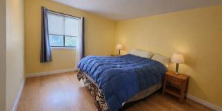 2010 COLTS NECK Road Gallery 7
