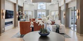 Integra Isles Gallery 25