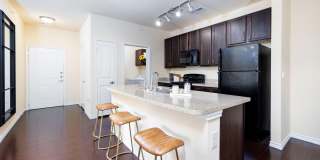 Sonoma Palms Gallery 2