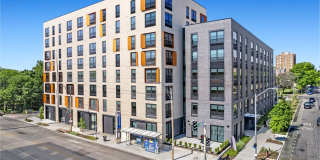 Senate at The Crosswalks Gallery 21