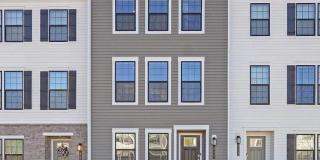 313 SOFT RUSH Lane Gallery 1