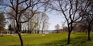 One Block to Lake Washington, Available Aug 1st Gallery 22