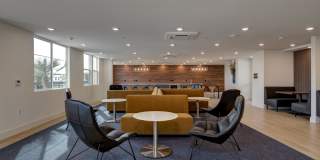 Vineyards Gallery 91