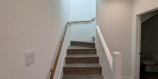 627 Essex St Gallery 8