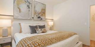 Isla Palmetto Gallery 9