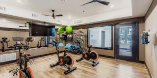 Citizen on Constitution Gallery 19