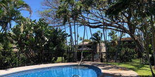 Pohailani Condos 2BD/1BTH Gallery 13