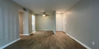 415 Orchard Trace Lane Gallery 5