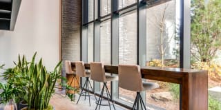 The Chestnut Gallery 16