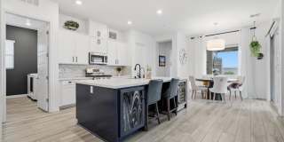 246 Tallis Hills Avenue Gallery 1