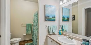 Ventana Gallery 41