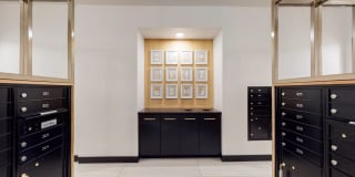 The Mason Gallery 55