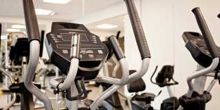 Attwell off Main Gallery 33