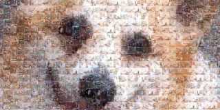 384 Bergen Street Gallery 32