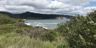 Sharon Green Gallery 21