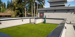 Morado Bothell Gallery 35